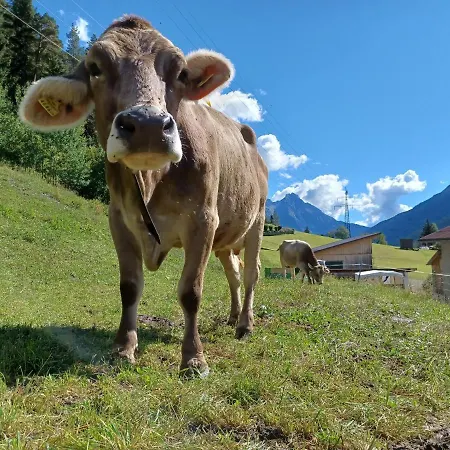 Lejlighed Gsoerhof *