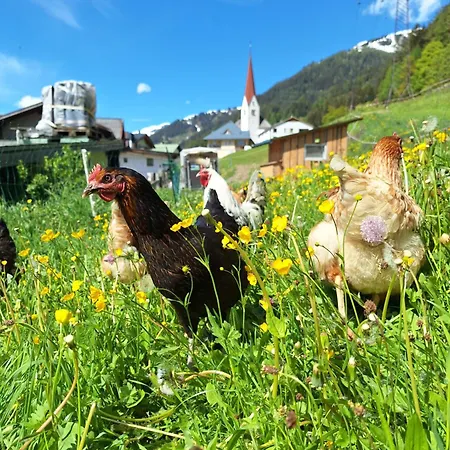 아파트 Gsoerhof *