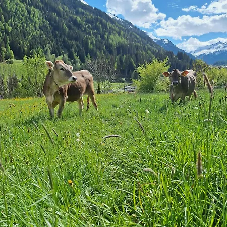 Gsoerhof Sankt Anton am Arlberg