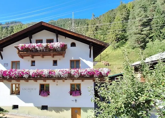 公寓 Gsoerhof 圣安东阿尔贝格